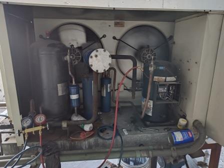 Reparación al sistema de enfriamiento a Cámaras de refrigeración