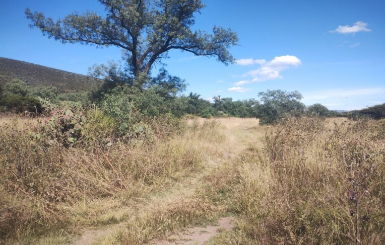 Se vende terreno en San Martin de las Piramides