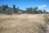 Se vende terreno en San Martin de las Piramides