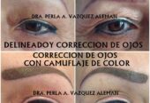 Delineado permanente en Cejas Ojos Labios Sombreado y Correcciones – Monterrey