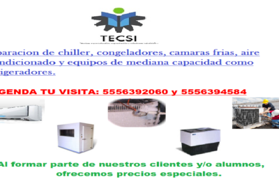 servicios-2024