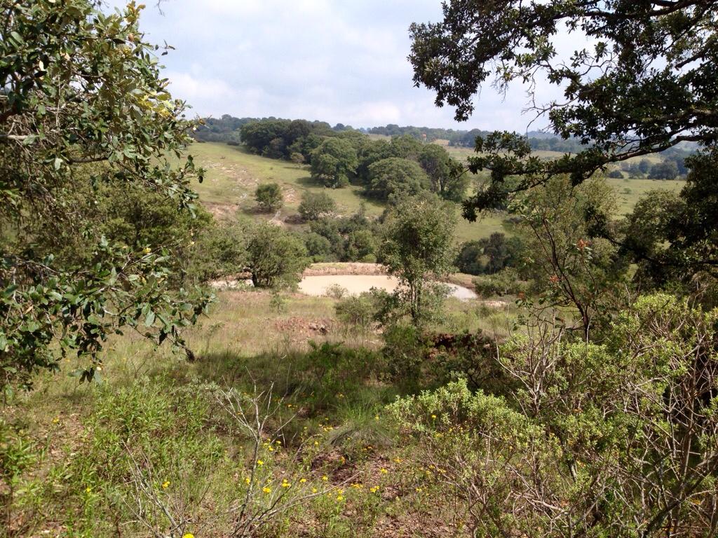VENTA DE TERRENOS DE 5000m2 EN SAN PEDRO TENANGO AMEALCO