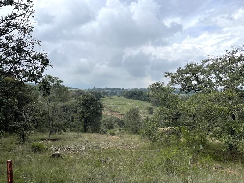 VENTA DE TERRENOS DE 5000m2 EN SAN PEDRO TENANGO AMEALCO