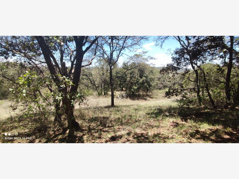 VENTA DE TERRENOS DE 5000m2 EN SAN PEDRO TENANGO AMEALCO