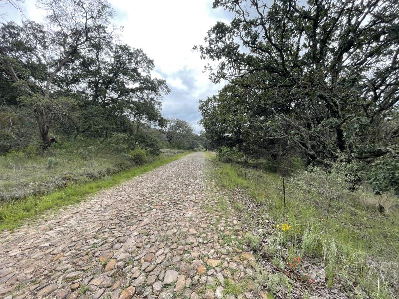 VENTA DE TERRENOS DE 5000m2 EN SAN PEDRO TENANGO AMEALCO