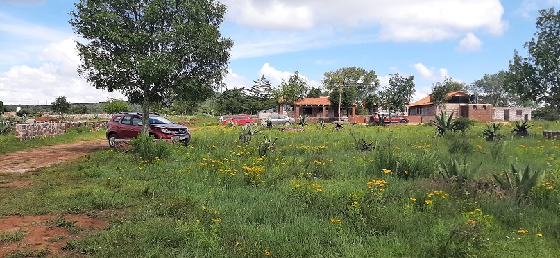 TERRENOS CAMPESTRES DESDE 250M2 ESCRITURACION GRATIS CERCA DE AMEALCO