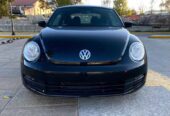 BEETLE 2013