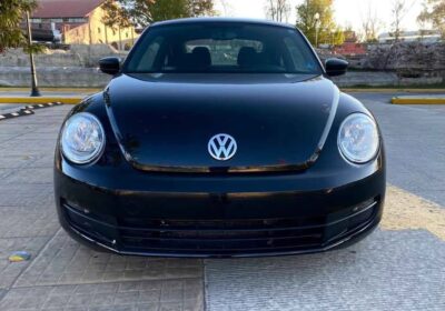 BEETLE-2013-1