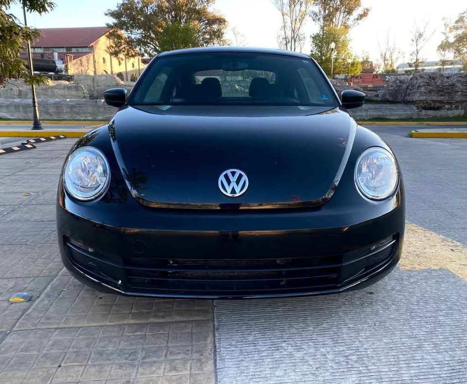 BEETLE 2013