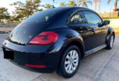 BEETLE 2013