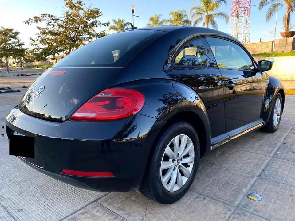 BEETLE 2013