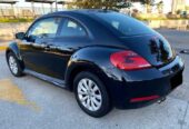 BEETLE 2013