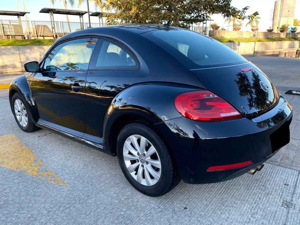 BEETLE 2013