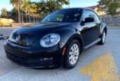 BEETLE 2013