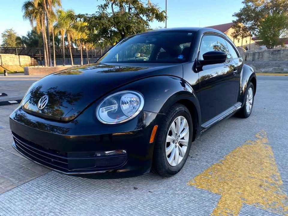 BEETLE 2013