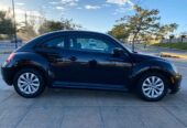 BEETLE 2013