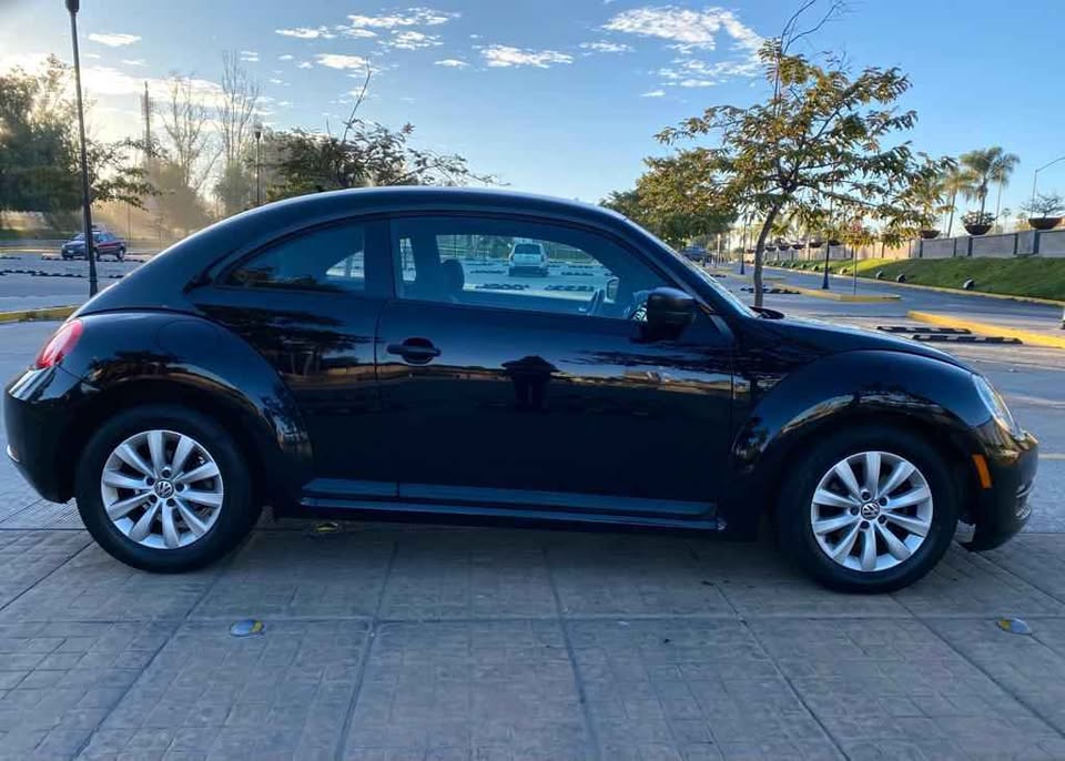 BEETLE 2013
