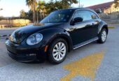 BEETLE 2013