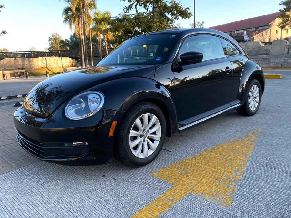 BEETLE 2013