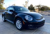 BEETLE 2013