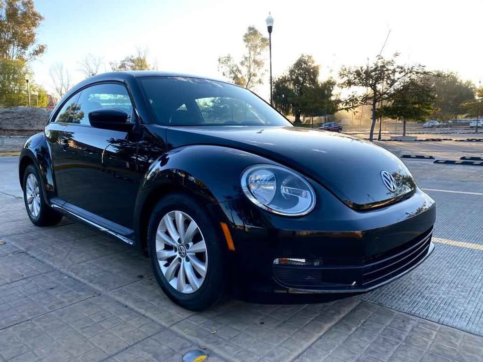 BEETLE 2013