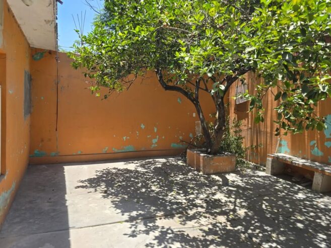 ¡Excelente casa de 1 planta en Colonia Insurgentes!