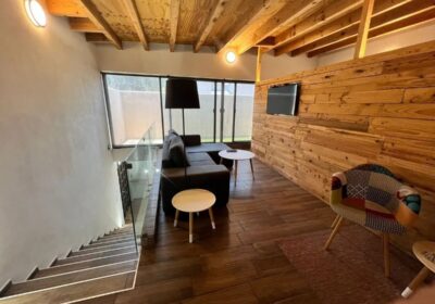 Estudio-Ejecutivos-1