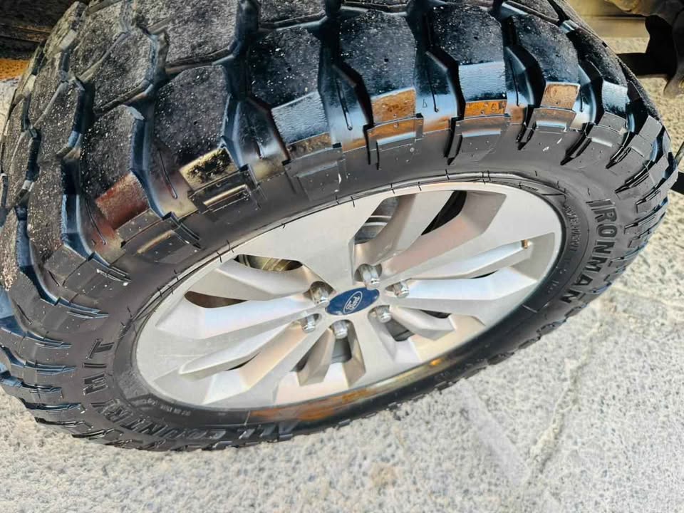 F-150 FX-4 2010 4×4