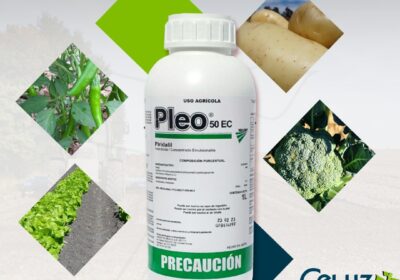 PLEO