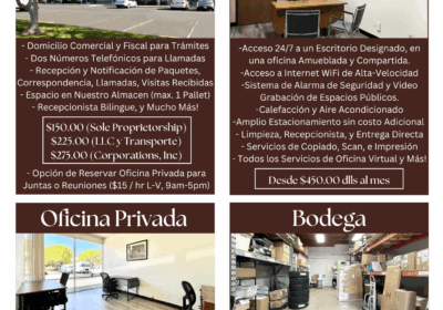 Servicio
