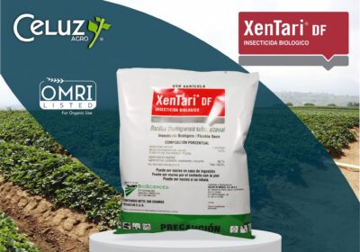 XENTARI