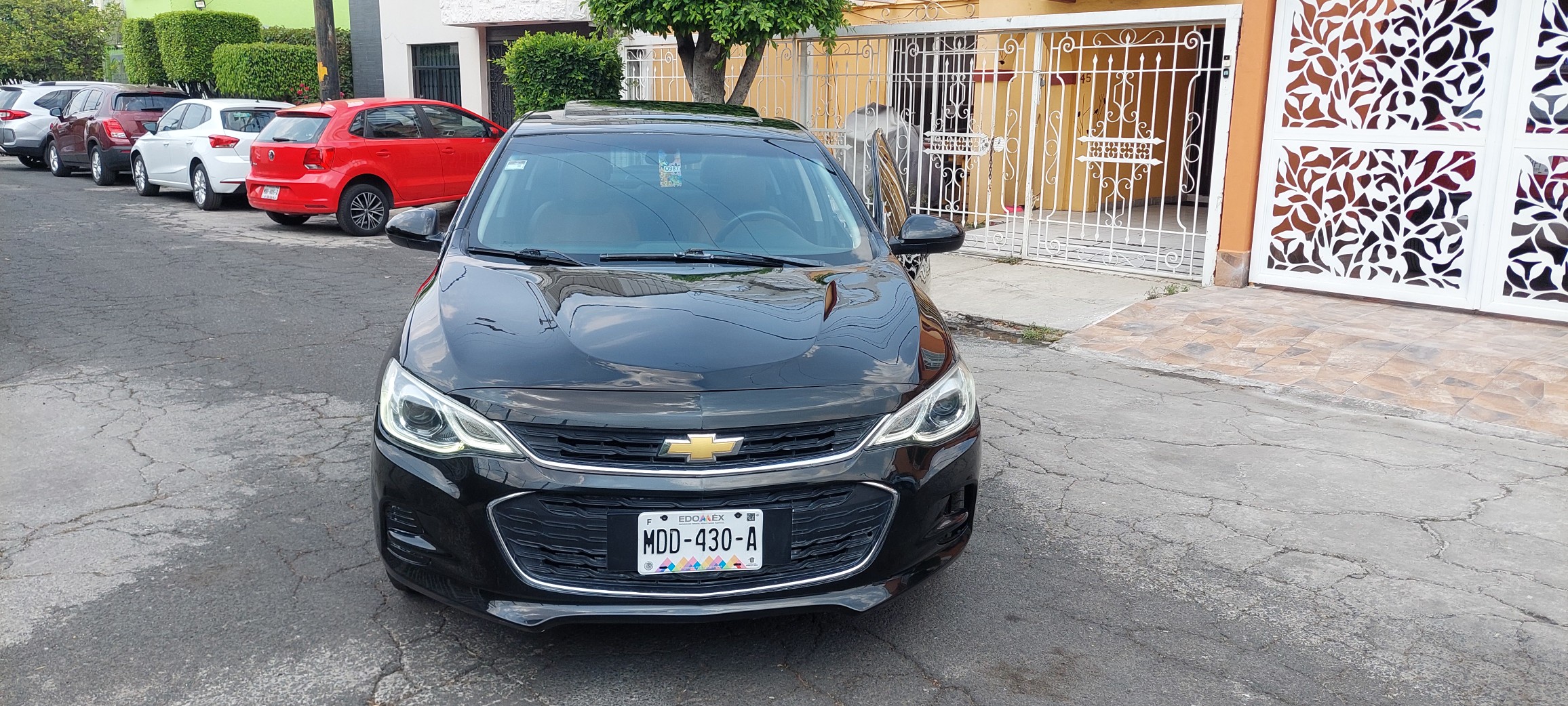 cavalier premier 2019