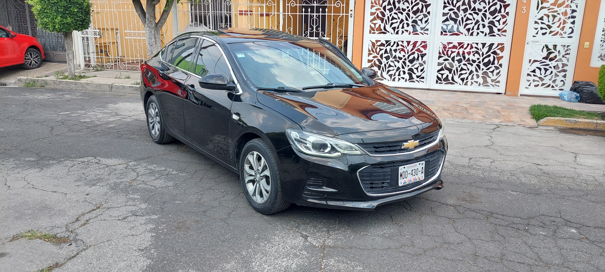 cavalier premier 2019