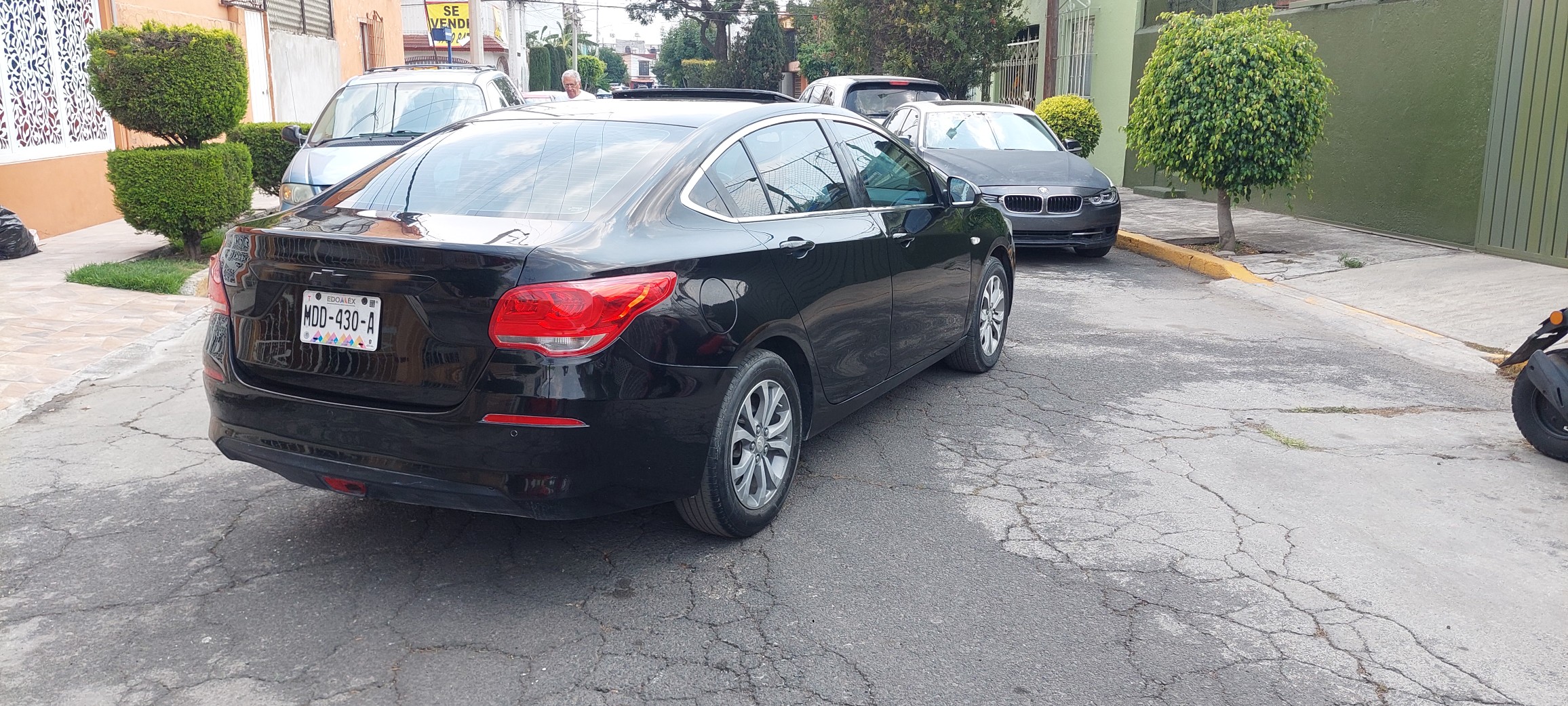 cavalier premier 2019