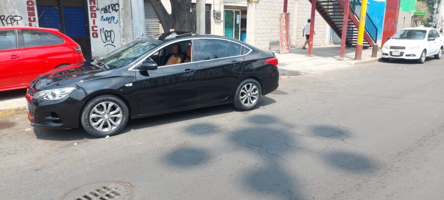 cavalier premier 2019