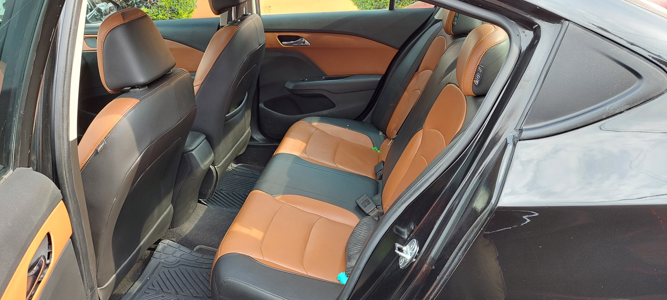 cavalier premier 2019