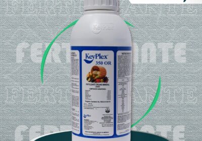 KEYPLEX
