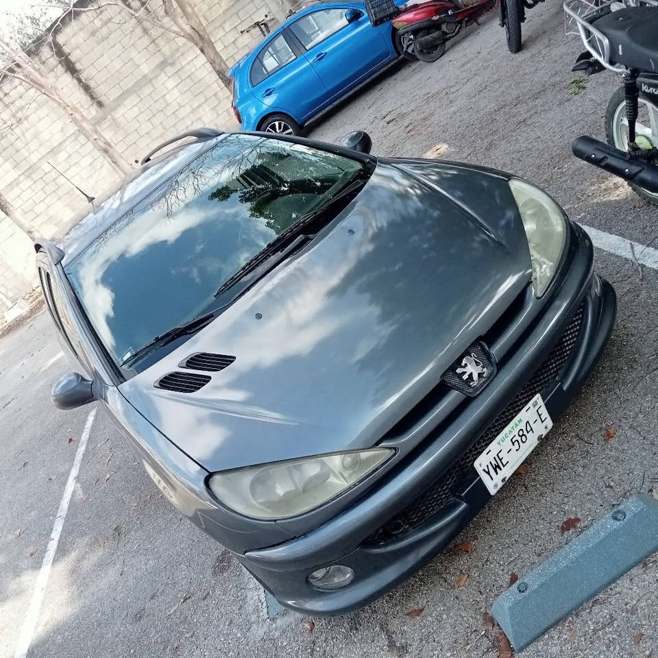 Peugeot 206 modelo 2006