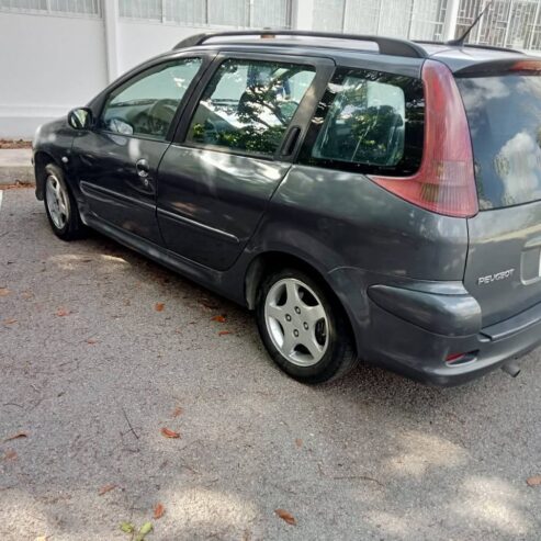 Peugeot 206 modelo 2006
