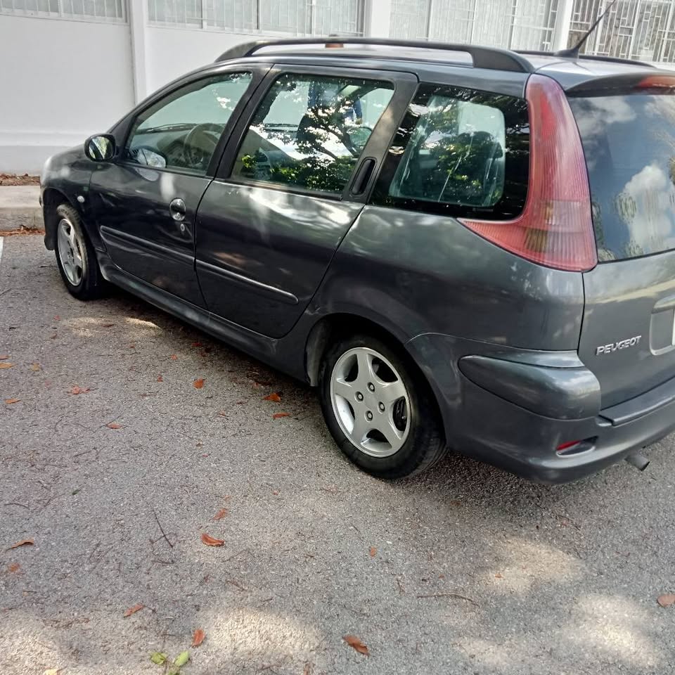 Peugeot 206 modelo 2006