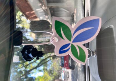 AROMATIZANTES-PARA-AUTO-FLOR