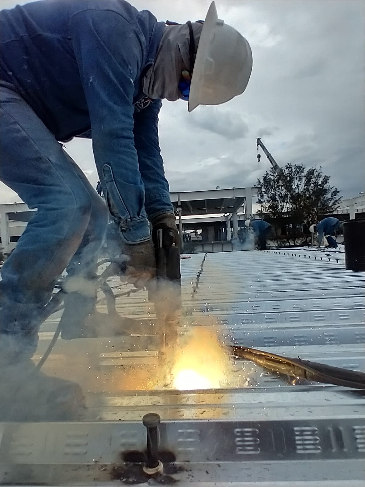 PERNEADORA EN RENTA