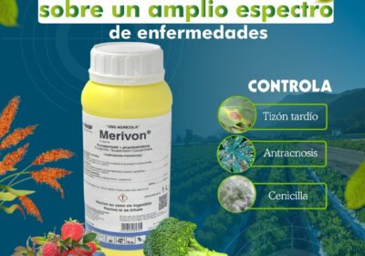 MERIVON