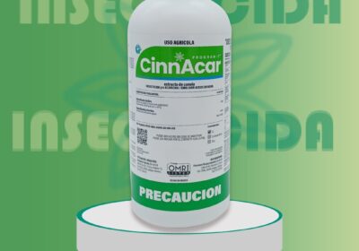 P.-CINNACAR-2.0