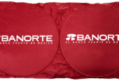 CUBRE PARABRISAS PARA AUTO PERSONALIZADOS DESDE 1 TINTA HASTA SELECCION DE COLOR