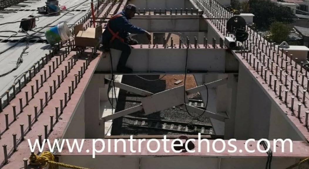 PERNEADORA EN RENTA