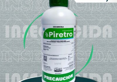 P.-PIRETRO