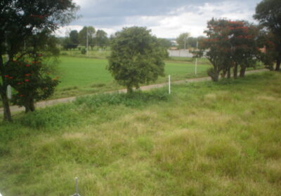 DSC00692