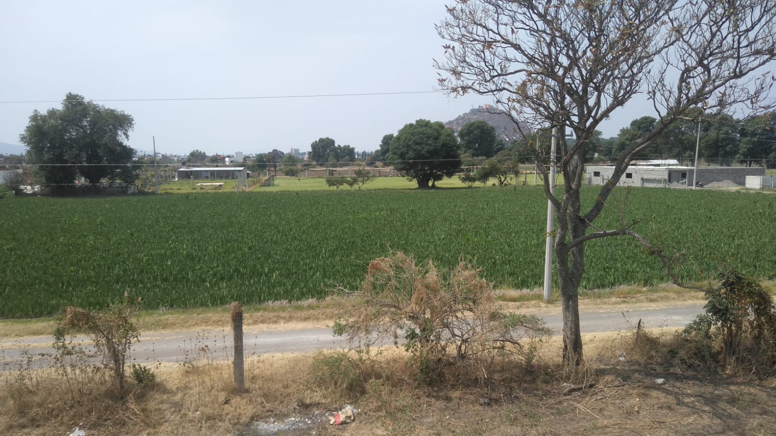 Terreno regular 1,765 m2 Xalpatlaco servicios Atlixco Puebla