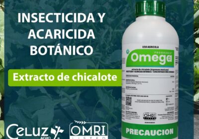 P.-OMEGA